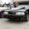 quick_stang