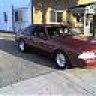 brandon48080