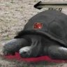 steve581581