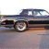 87cuttykid