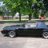 horsestang86