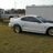 MustangMorelli