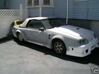 testarosa-super-bird-mustang-gt_100182241_s.jpg