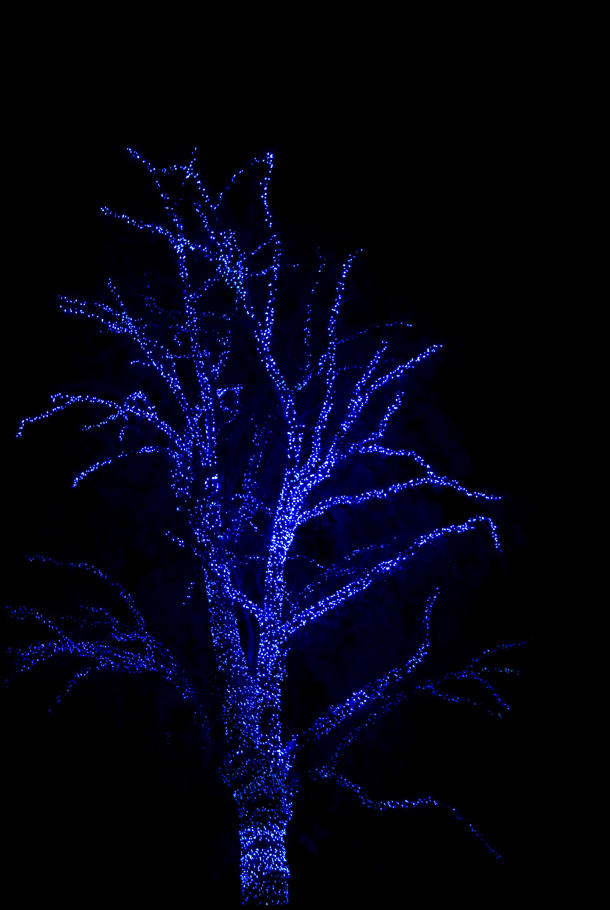 4210630414_ea6c7a85a8_o.jpg