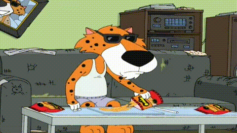 giphy.gif
