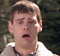 20433.gif