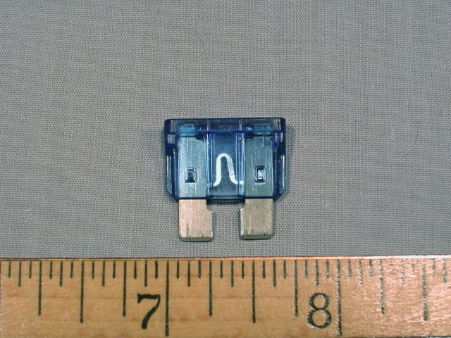 photo1.jpg