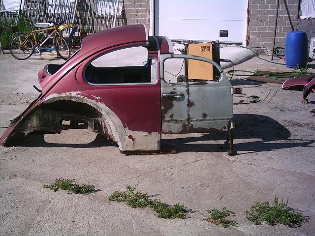 little-bug-0.jpg
