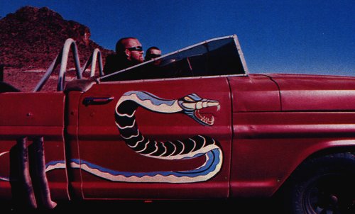 F100CobraDoor.jpg