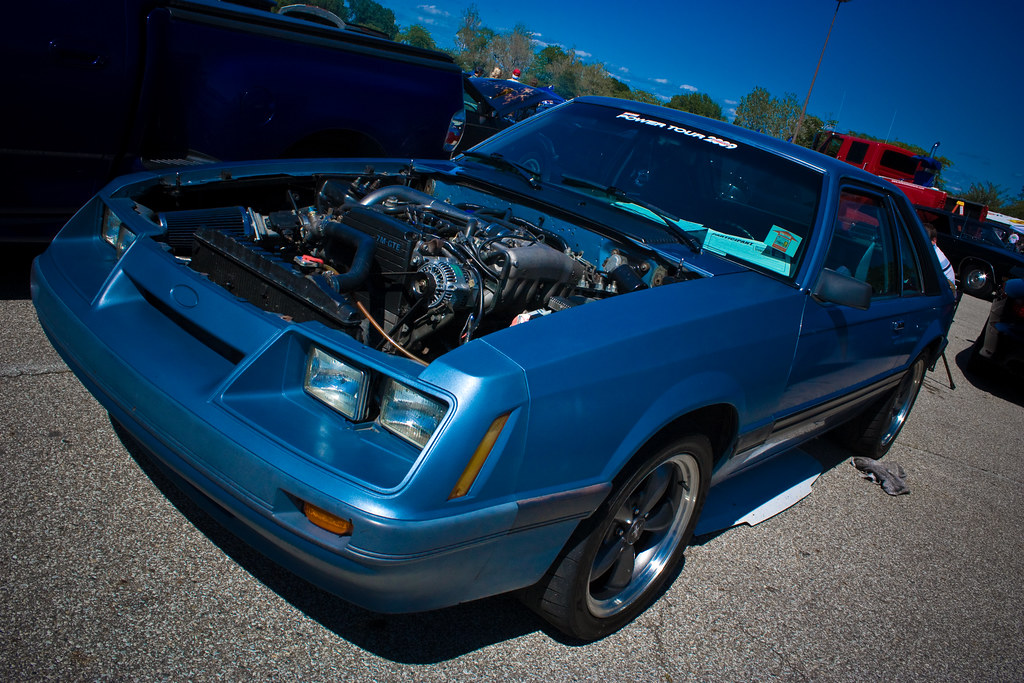 3615134888_d1ba27a35d_b.jpg