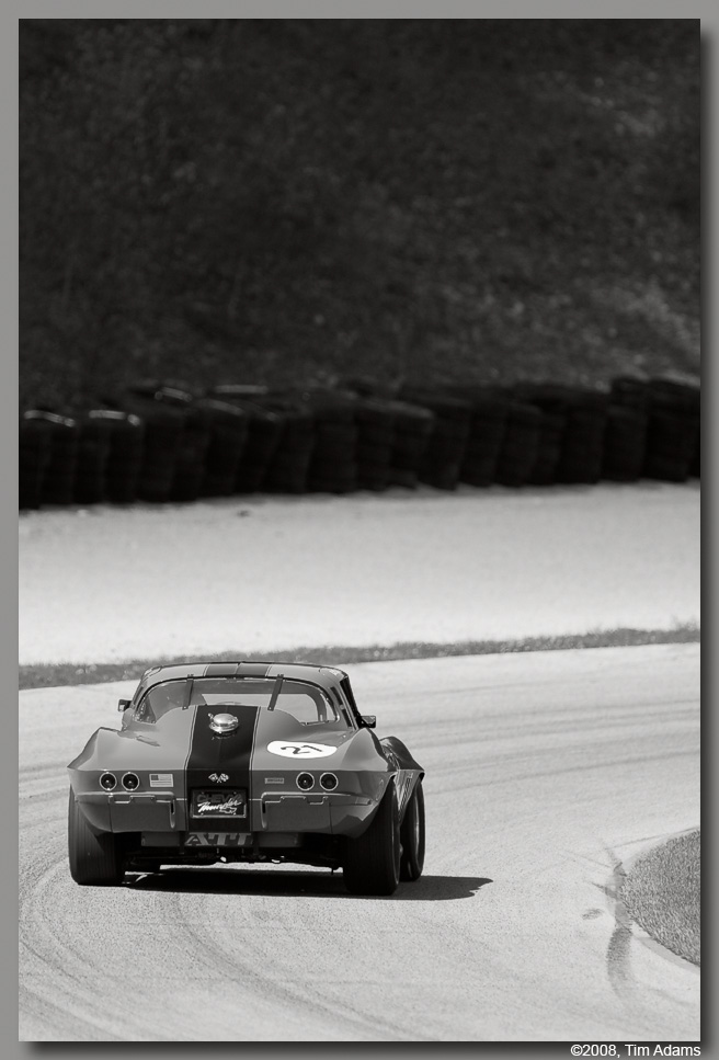 1835%20Vette%20BW.jpg