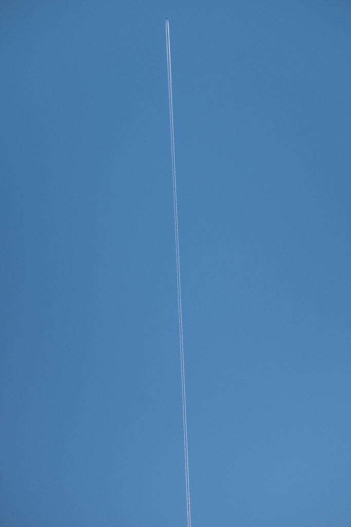 46776536074_79fef00305_b.jpg