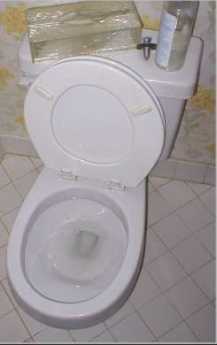 Toilet.jpg
