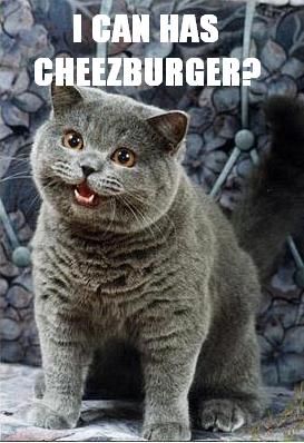 070110_LOLCat.jpg