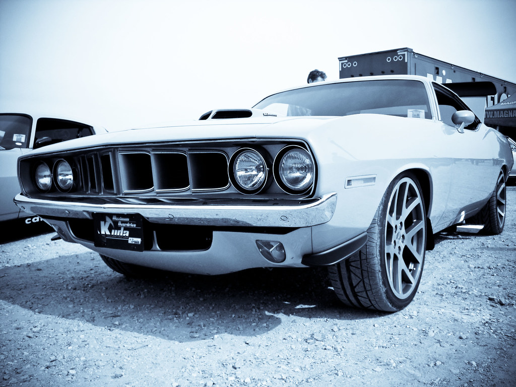3609598404_68fff7672f_b.jpg